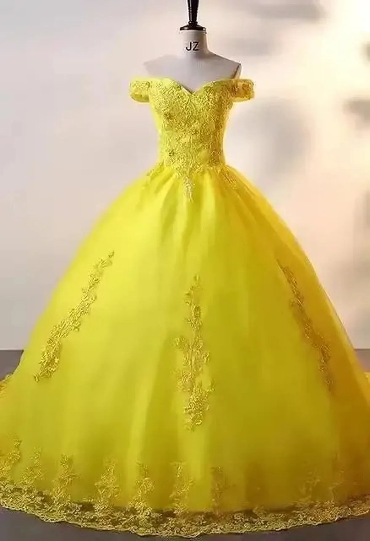 Ball Gown Princesse Élégante-Saylana